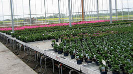 Для розсади та поливу