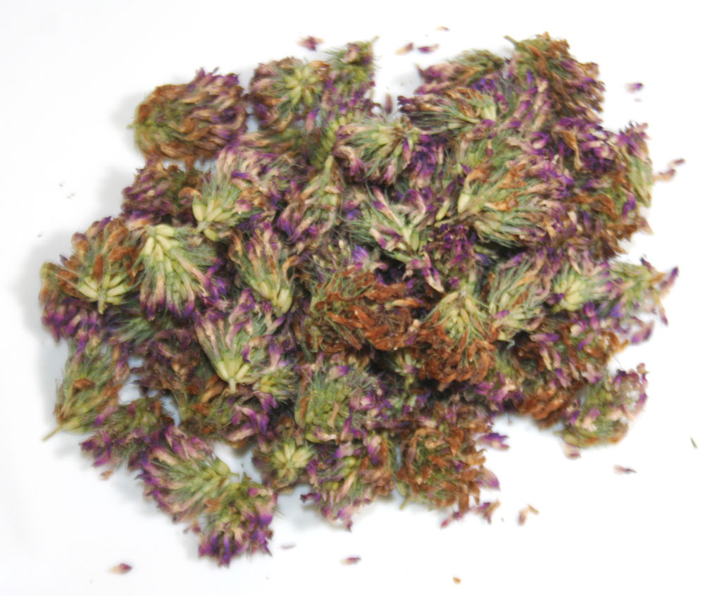 Конюшина /Конюшина лучна (цвіт), 50г., фото 1