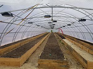 теплиця фермерська під плівку і її обладнання