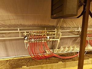 теплиця фермерська під плівку і її внутрішнє обладнання