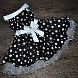 Ошатне плаття в горох для дівчинки.Стиляти., фото 3