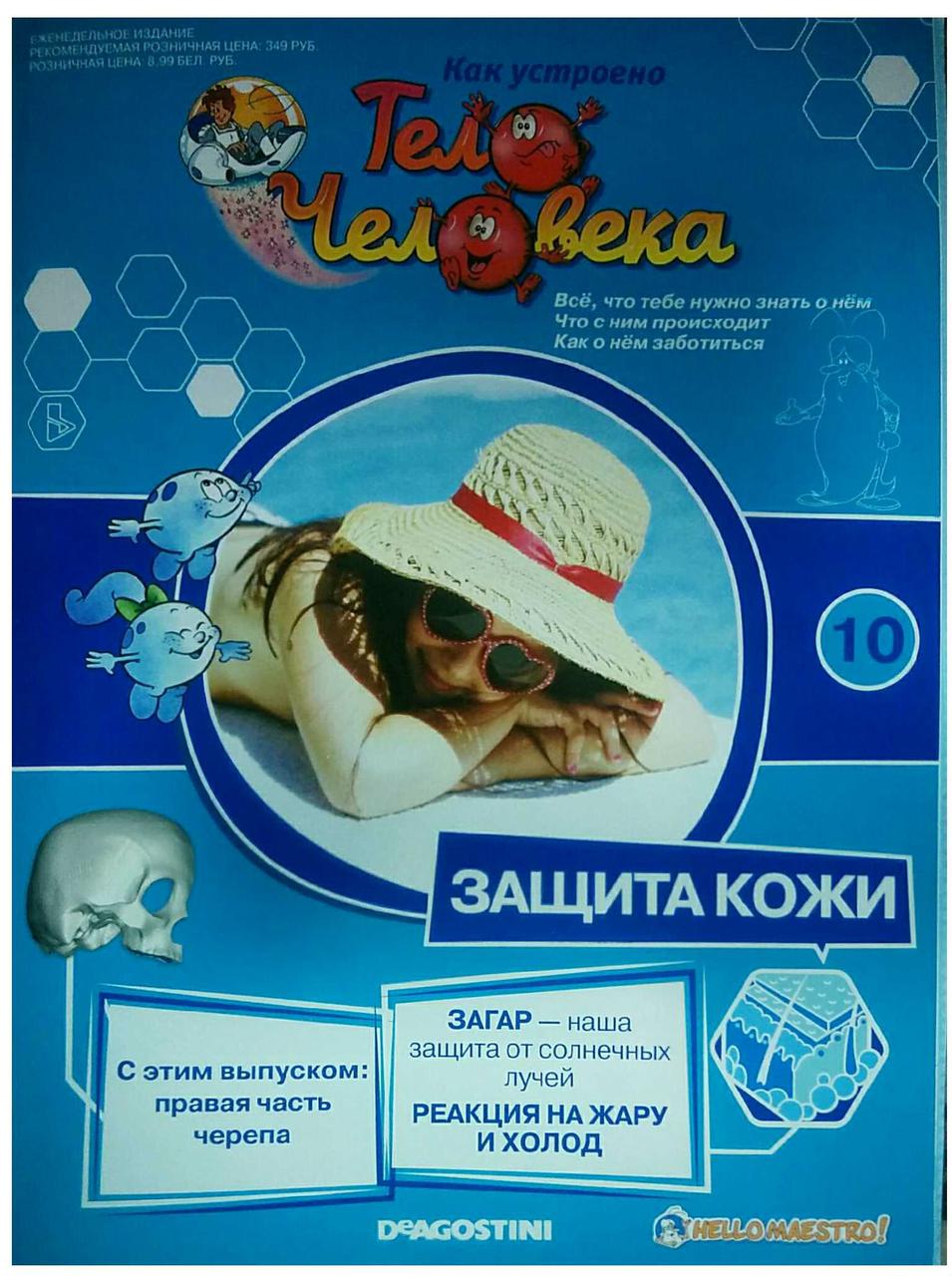 Як Влаштовано Тіло Людини (ДеАгостини) №10, фото 1