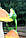 Садова фігура "Жабки на грибочках" H-30 см, фото 4