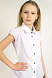 Біла шкільна блузка з коротким рукавом.Бавовна. 128р, фото 2