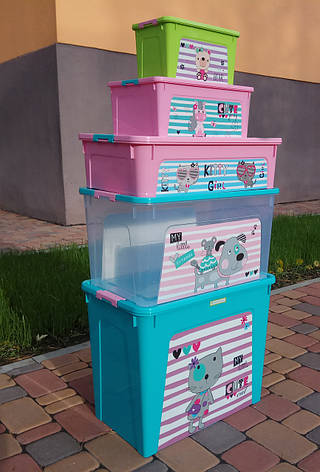 Комплект Контейнер "Smart Box" Алеана з декором Pet Shop 5шт, фото 3