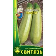 Насіння кабачок Чаклун 20 нас, фото 1
