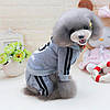Комбінезон, толстовка "Dog Baby" для собак.  Одяг для собак Adidog, фото 7