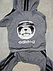 Комбінезон, толстовка "Dog Baby" для собак.  Одяг для собак Adidog, фото 11