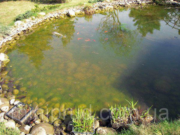 АНАЛІЗ ПАРАМЕТРІВ ВОДИ У ВОДОЙМІ