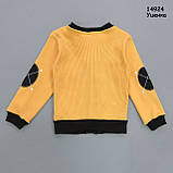 Уцінка - Кофта для хлопчика. Маломірить. 2 роки, фото 4