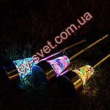 Садовый светильник на солнечной батарее пластик CAB96 коричневый, фото 2