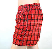 Шорти чоловічі у велику карту Tovta (Угорщина), фото 5