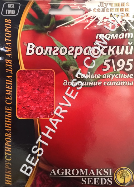 Насіння томату «Волгоградський 5/95» 3 г, інкрустовані