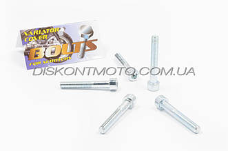 Болти кришки варіатора Honda DIO AF18/27 (шестигранний шліц, 5 шт.) AS