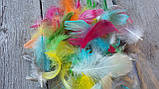Пір'я декоративне коьорове, мікс 150 шт\уп, фото 2