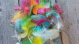 Пір'я декоративне коьорове, мікс 150 шт\уп, фото 3