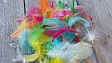 Пір'я декоративне коьорове, мікс 150 шт\уп, фото 4
