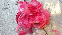 Пір'я рожеве декоративне, 150 шт/уп (4-5 гр)