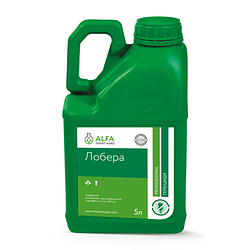 Післясходовий грамініцид Лобера