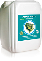 АВААНГАРД Р ОВОЩНІ