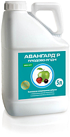 АВААНГАРД Р ПЛОДОВО-ЯГОДНІ