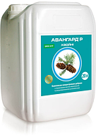 АВААНГАРД Р ХВІЙНІ