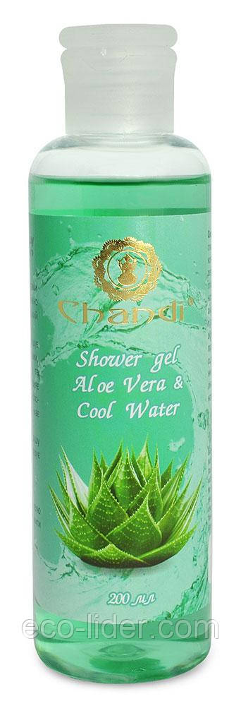 Індійський гель для душу "Aloe Vera & Cool Water" Chandi, 200 мл, фото 1