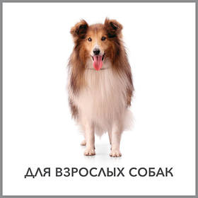 Purina Pro Plan -супер преміум корм для дорослих собак