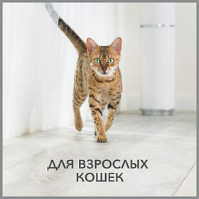 Purina Pro Plan -супер преміум корм для дорослих кішок