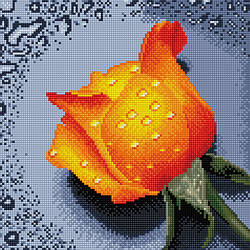 Набір для алмазної мозаїки 30х30см "Троянда оранжева" DF064