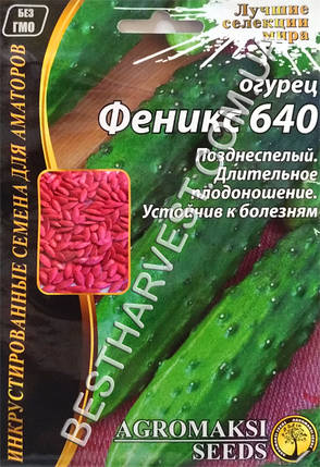 Насіння огірка «Фенікс 640» 4 г, інкрустовані, фото 1