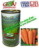 Морква подня Флаке/Flakke, Франція, GSN Semences банка 500 грамів,