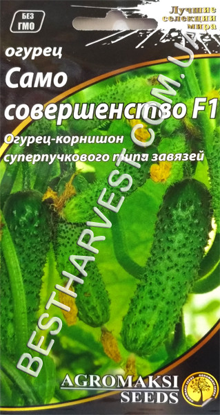 Насіння огірка «Сама досконалість F1» 0.25 г