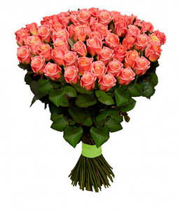 Троянда Рожева Міс Пігі 50 см 19 шт.