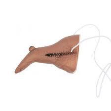 Ніс відьми, фото 1