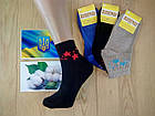 Шкарпетки жіночі демісезонні асорті х/б Житомир 23-25р НЖД-02923, фото 4