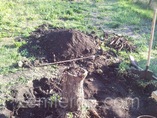 Викорчувати пень в Харкові