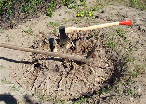 Викорчувати дерево в Харкові