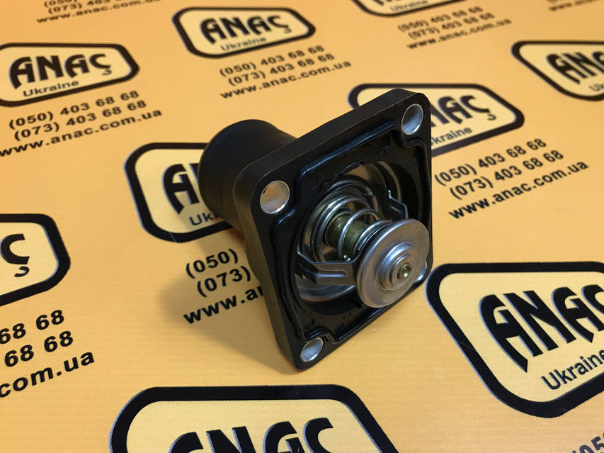 02/202411, 02/202106, 4133L036, 4133L019 Термостат в сборе с