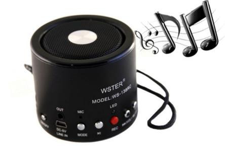 Колонка WS138 RC Black