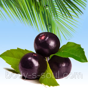 Косметичні віддушки для мила, свічок, косметики ручної роботи ACAI BERRY
