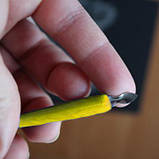 Гравюра панорама 'Лев' Золото (ГР-В2-02-03з), фото 4