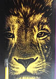 Гравюра панорама 'Лев' Золото (ГР-В2-02-03з), фото 3
