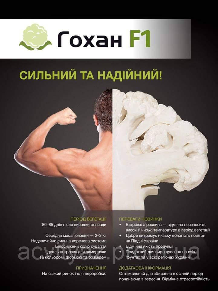 Насіння цвітної капусти Гохан F1 / Gokhan F1, 2500 насінин