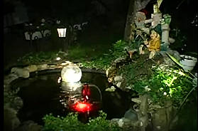 Дизайн водоема из пласиковой формы. 3