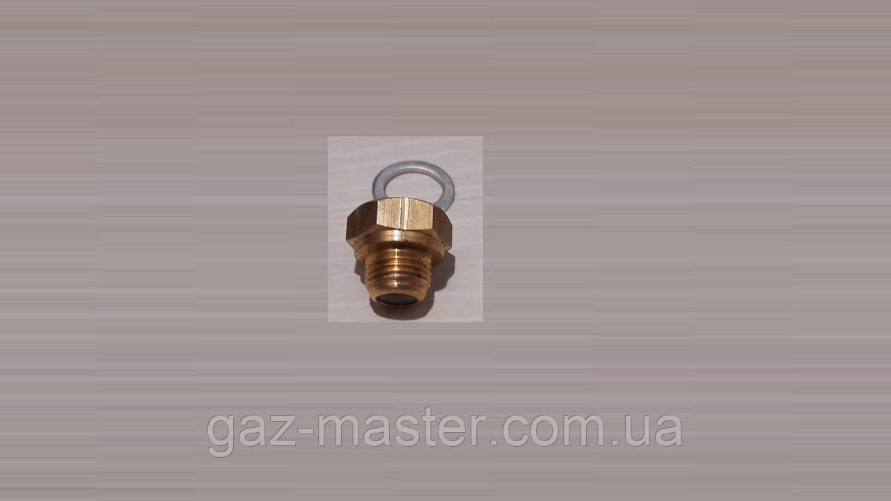 Втулка напрямна Baxi-Westen 5630250