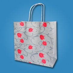 Паперовий пакет RPK-13