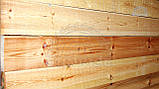 Дошка соснова суха необрізна будівельна та столярна, фото 5