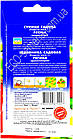 Земляніка Регіна садова ремонтантна багаторічна/0,1 г, фото 2