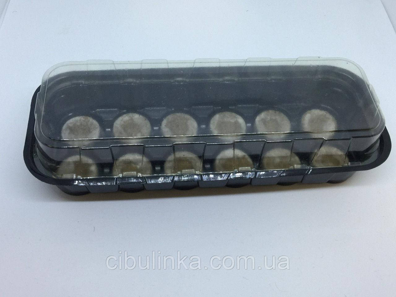Мініплівка на 12 торф'яних таблеток, діам.35 мм.